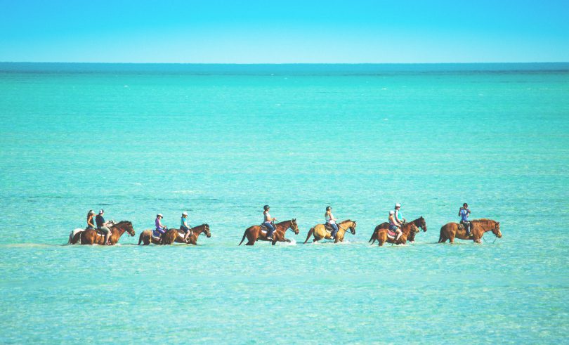 The Strand Turks and Caicos - large group Horseback Riding in the aqua colored ocean