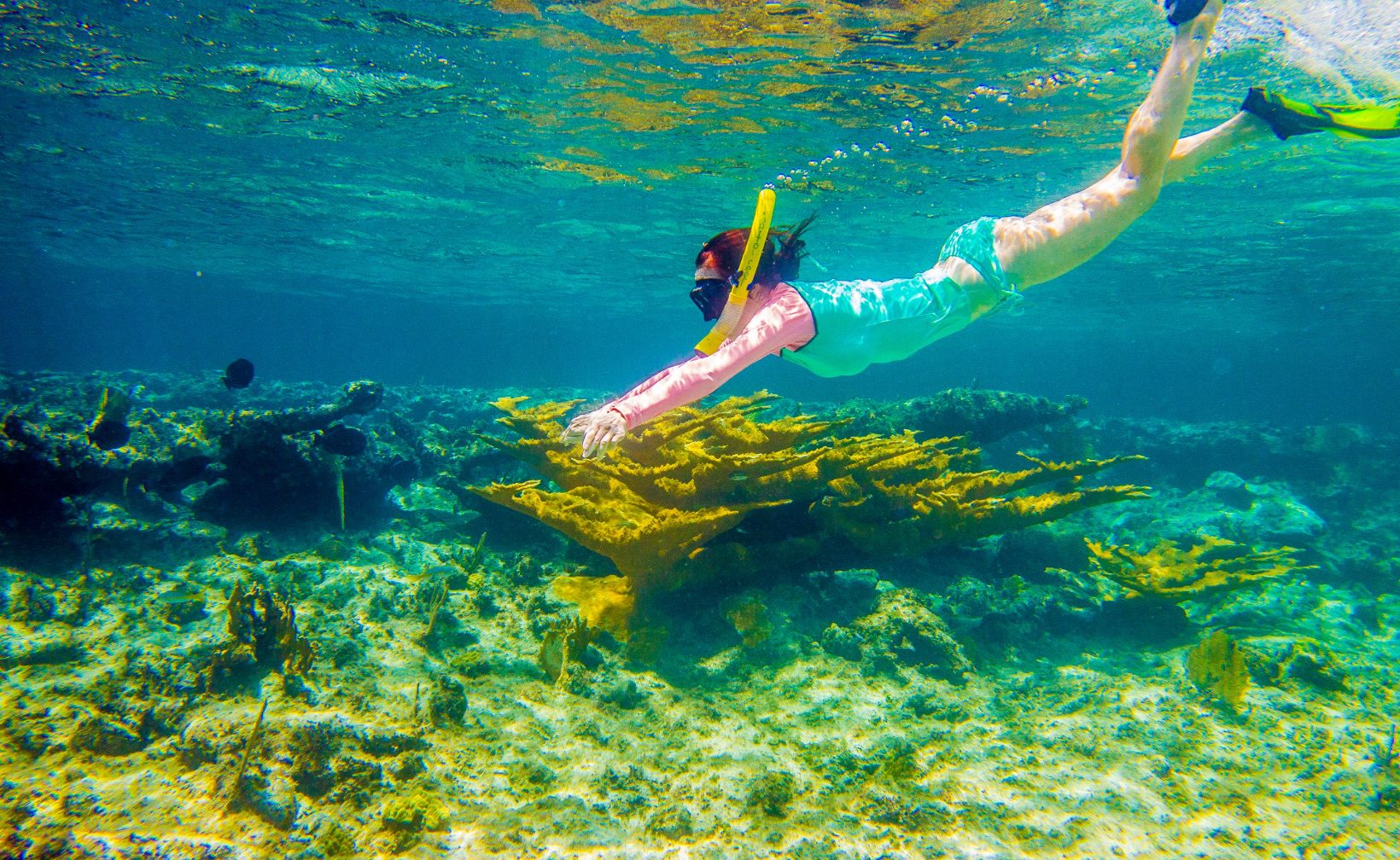 Ready to explore some of the most beautiful coral reefs in the world? Snorkeling in Turks and Caicos is second to none.